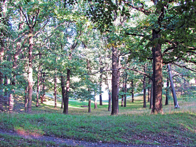 Парк. Поч. 19 ст.